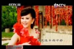 CCTV央视媒体 -  CCTV-15 下午1点多时段广告刊例价多少？