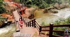 CCTV央视媒体 - CCTV-15黄金档栏目中 插播广告 多少钱？