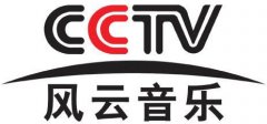 CCTV央视媒体 - 在 CCTV-15 晚间时段2投放广告价格贵吗？