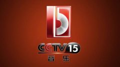 CCTV央视媒体 -  CCTV-15 晚上7点多时段广告价格？