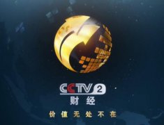 CCTV央视媒体 - cctv-2下午5点时段刊例价多少？