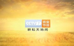 CCTV央视媒体 - CCTV-7 广告投放 价格 多少 ？