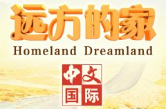 CCTV央视媒体 -  怎么 投放 广告 ？ 央视 《远方的家》 广告 价格？