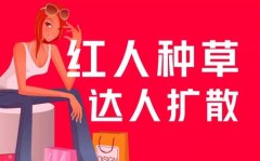 小红书 - 小红书 爆款 笔记创作指南