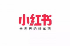 小红书 - 小红书带货运营策略指南
