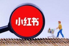 小红书 -  小红书达人推广 与种草笔记策略