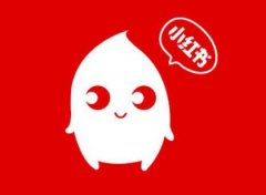 小红书 - 小红书KOL 优质 探店 推广 资源
