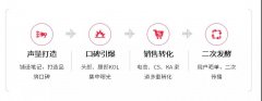 小红书 - 品牌主小红书高效种草策略