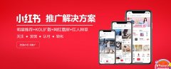 小红书 - 小红书高效 推广 方案及爆款 套餐 推荐
