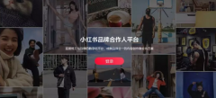 小红书 - 小红书品牌合作平台上线