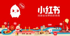 小红书 - 小红书精准粉丝推广策略