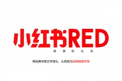 小红书 - 小红书广告投放特征分析