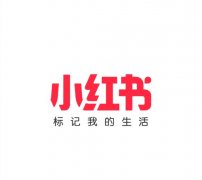 小红书 - 品牌小红书推广策略与方法