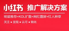 小红书 - 小红书达人推广方案个性化定制服务