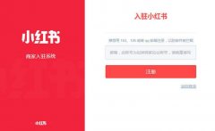 小红书 - 小红书KOL明星产品推广策划方案