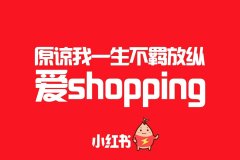 小红书 - 小红书种草笔记类型分析