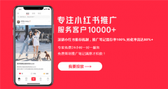 小红书 - 小红书广告投放策略