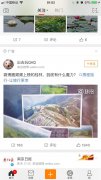 营销资讯 - 如何做旅游网络 推广 ？ 哪些 社交 平台 合适 推广 旅