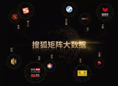 营销资讯 - 搜狐是怎样依据大 数据 做 品牌 投放？