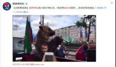 营销资讯 - 俄罗斯外贸，就选 yandex 推广！