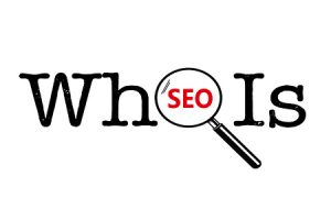 网站建设 - 什么是 whois ，如何利用 whois 查询做外链！