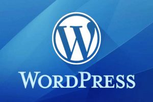 网站建设 -  如何 选择wordpress主机 空间 ，有利于SEO？