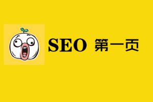 网站建设 - SEO战略 分析 ，第一页，为 什么 很重要？