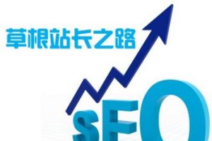 网站建设 - 草根seo每天 都在 做什么?（经验 分享 ）
