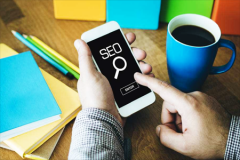网站建设 - 怎么让SEO 文章 快速的进行秒 收录 呢？