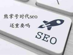 网站建设 - 如果是 新网站 想加快SEO收录要 怎么 做