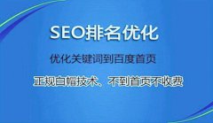 网站建设 -  深圳 网络 优化 找谁？关键字 优化 和 网站优化 有什