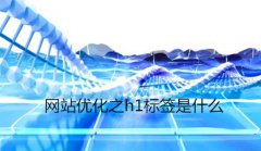 网站建设 -  网站优化 之h1 标签 是什么