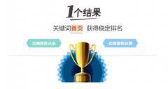 网站建设 - seo 优化 按天计费，不上首页不 收费 !