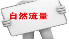 网站建设 - 怎样实现企业 官网网站 SEO优化自然流量