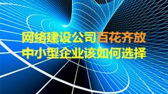 网站建设 -  网络 建设公司百花齐放， 中小型企业 该如何选择