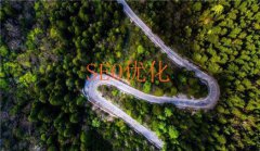 网站建设 -  死链 接出现的原因及 影响 