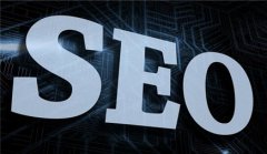 网站建设 -  网站 SEO优化过程中应该 怎样 选购 域名 更合适