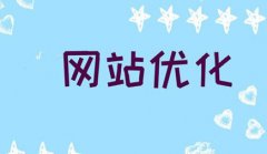 网站建设 -  新网站怎样 在短时间内 网站 优化排名?