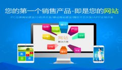 网站建设 - 企业 