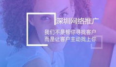网站建设 -  深圳网络推广 外包公司哪家好