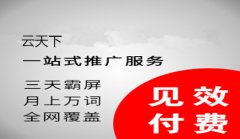 网站建设 - 互联网网络 推广 到底该怎样 去做 