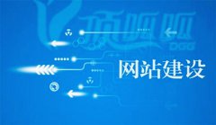 网站建设 - 网站建设 为什么只有 投入没有收入呢？