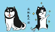 营销信息 - 软文营销干货 看了 很多，但在这3个方面，你一直