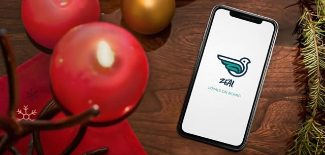 企业出海 - 埃及移动支付平台Zeal完成 种子 轮融资