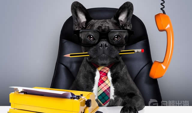 Most-Profitable-Pet-Business-Ventures-to-Start-Today.jpg