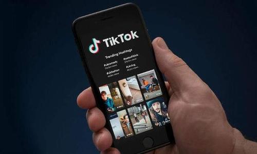企业出海 - 与白宫关系密切 甲骨文 加入竞购TikTok意欲何为？