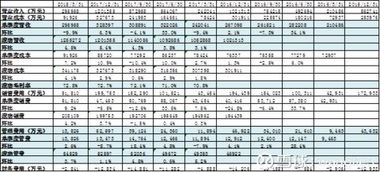 企业出海 - 跨境大卖财报里的这些 数据 透露了哪些隐藏 危机 
