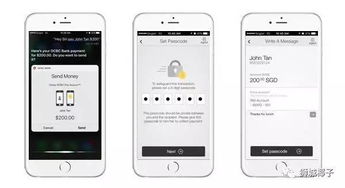 企业出海 - 新加坡人使用 最多 的电子支付APP