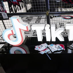 企业出海 - TikTok越南活跃用户超1200万 本地化 营销效果明显