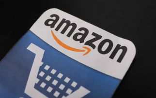 企业出海 - 亚马逊在加拿大发布Amazon Business并推出Business P